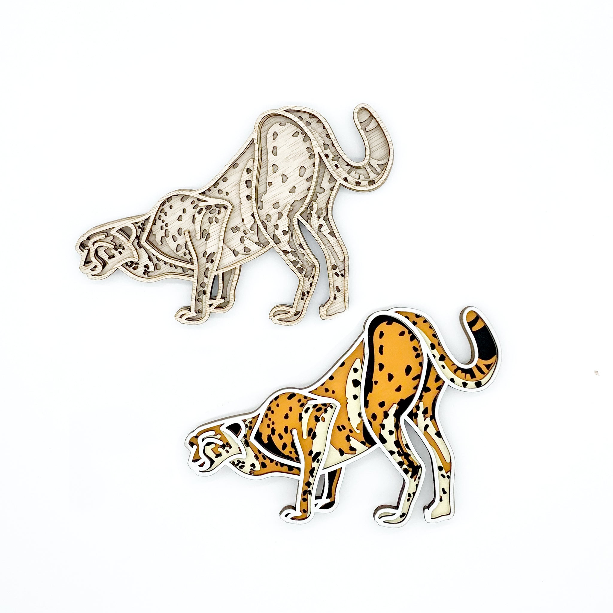 Cheetah Art Kit